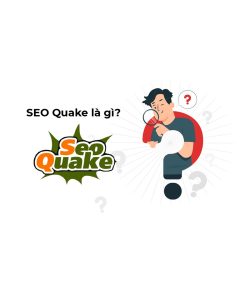 cách sử dụng SEOquake