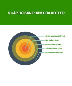 các cấp độ của sản phẩm