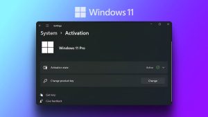 Active Win 11 Pro